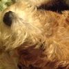 bruce_hughes